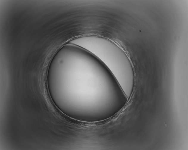 X0000089940097200706290823