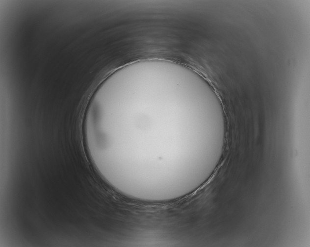 X0000089940099200706290823