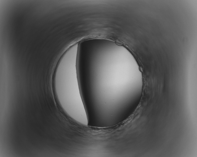 X0000089940100200706290823