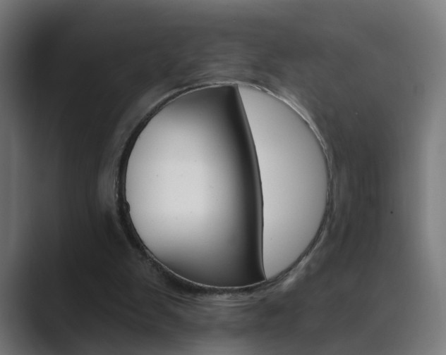 X0000089940103200706290823