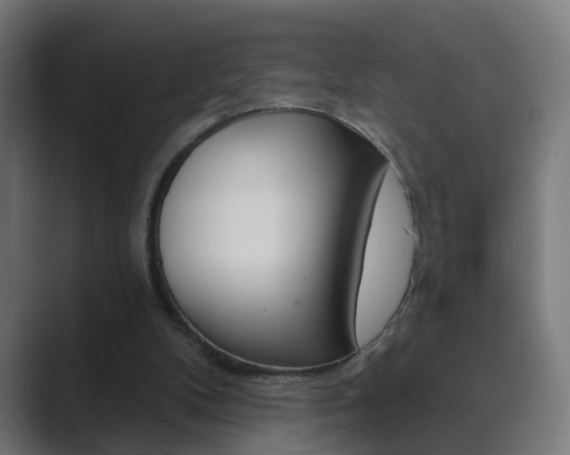 X0000089940104200706290823