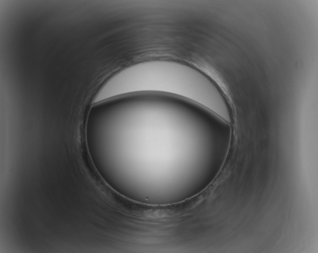 X0000089940105200706290823
