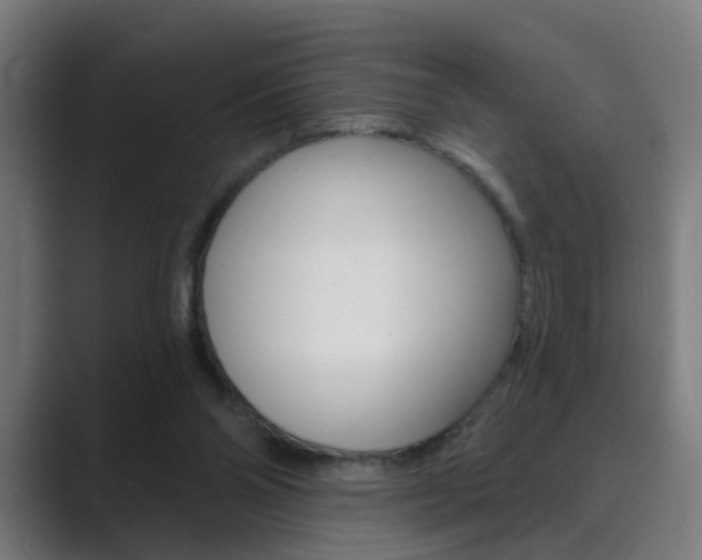 X0000089940110200706290823