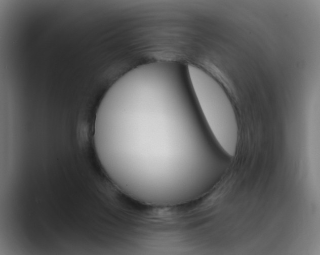 X0000089940117200706290823