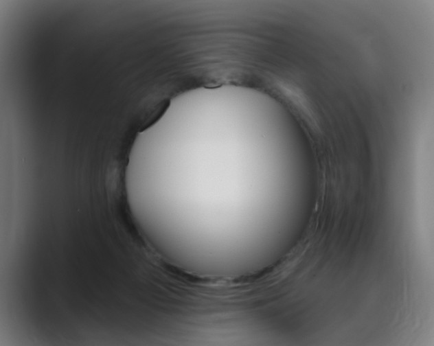 X0000089940121200706290823