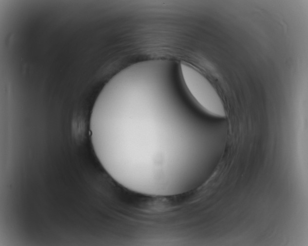 X0000089940124200706290823