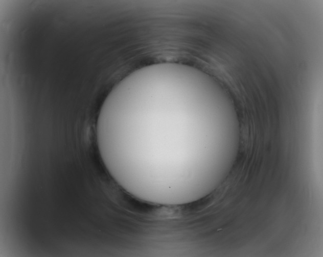 X0000089940126200706290823