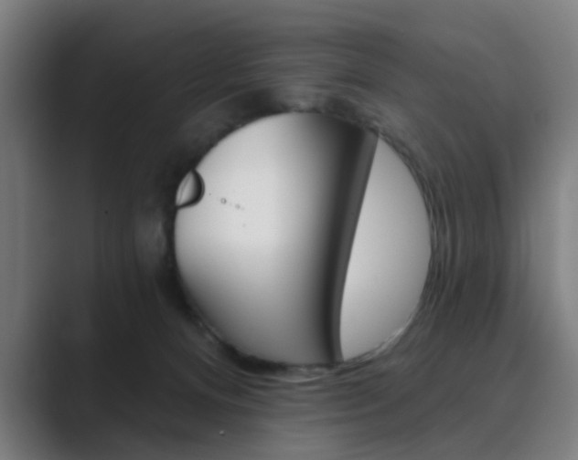 X0000089940128200706290823