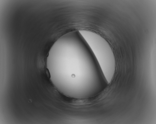 X0000089940129200706290823