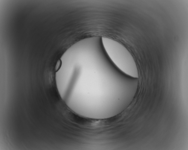 X0000089940130200706290823