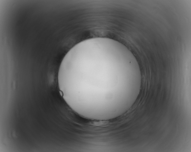 X0000089940134200706290823