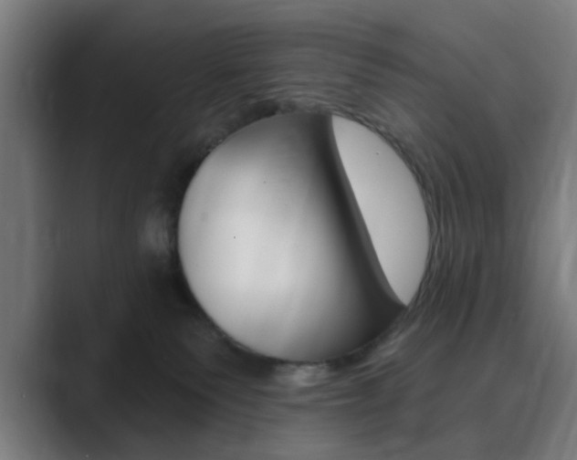 X0000089940135200706290823