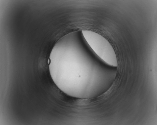 X0000089940136200706290823
