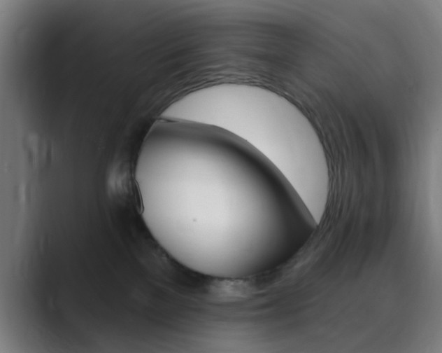 X0000089940137200706290823