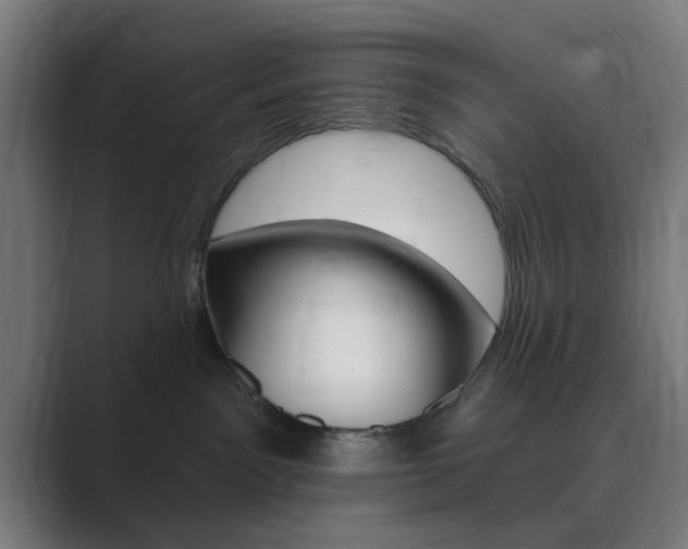 X0000089940141200706290823