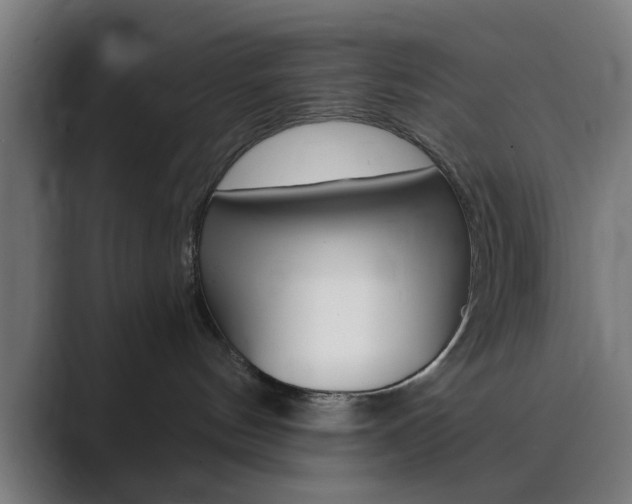 X0000089940144200706290823
