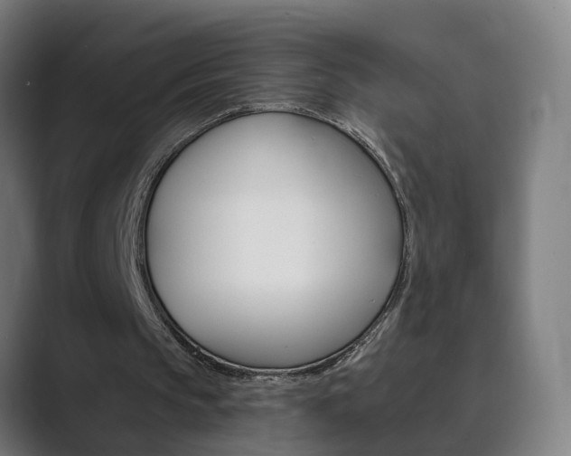 X0000089940145200706290822