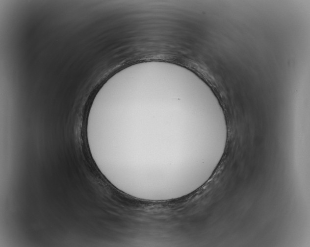 X0000089940146200706290822