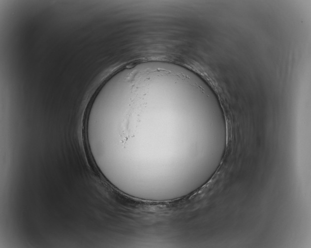 X0000089940147200706290822