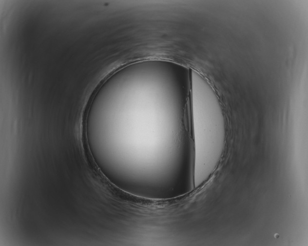 X0000089940148200706290822
