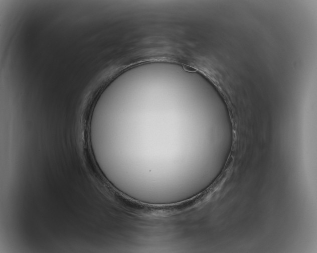 X0000089940149200706290822