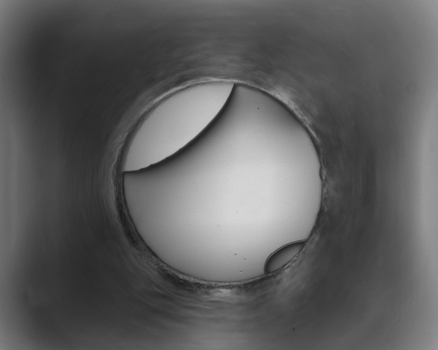 X0000089940151200706290822