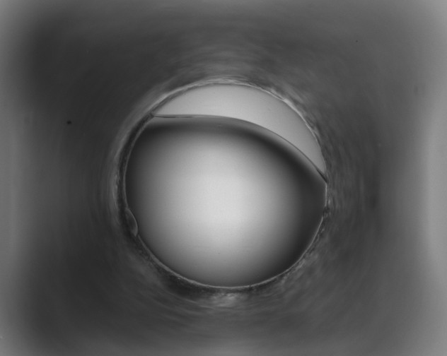 X0000089940152200706290822
