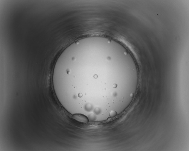 X0000089940153200706290822