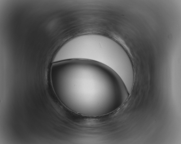 X0000089940154200706290822