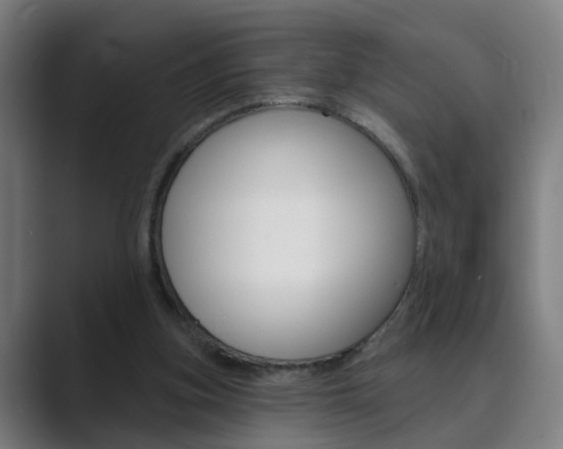 X0000089940155200706290822