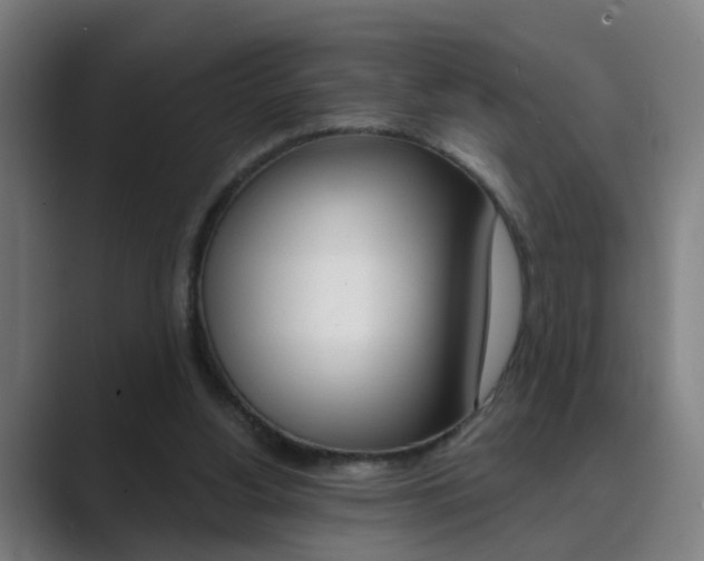 X0000089940156200706290822