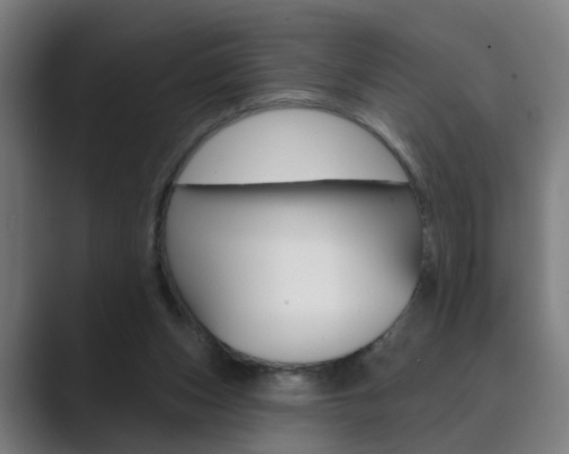 X0000089940159200706290822