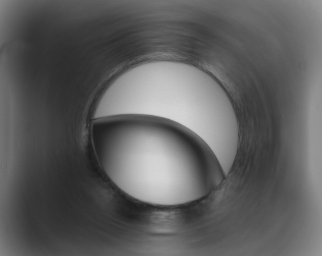 X0000089940160200706290822