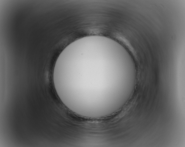 X0000089940161200706290822