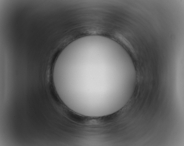 X0000089940163200706290822