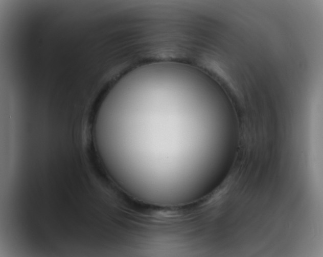 X0000089940164200706290822