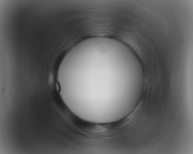 X0000089940166200706290822