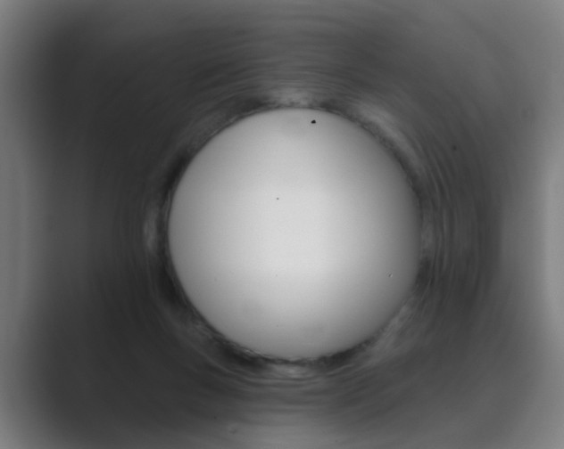 X0000089940167200706290822