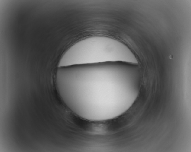 X0000089940169200706290822