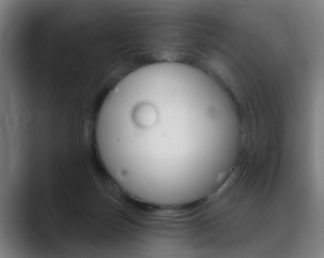 X0000089940171200706290822