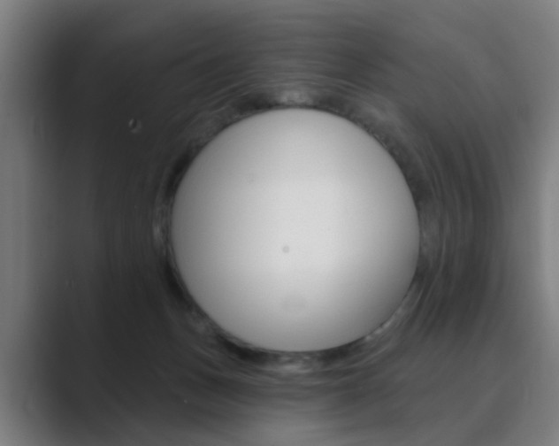 X0000089940175200706290822