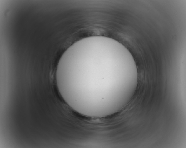 X0000089940177200706290823