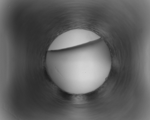 X0000089940181200706290823