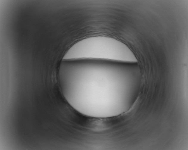 X0000089940182200706290823