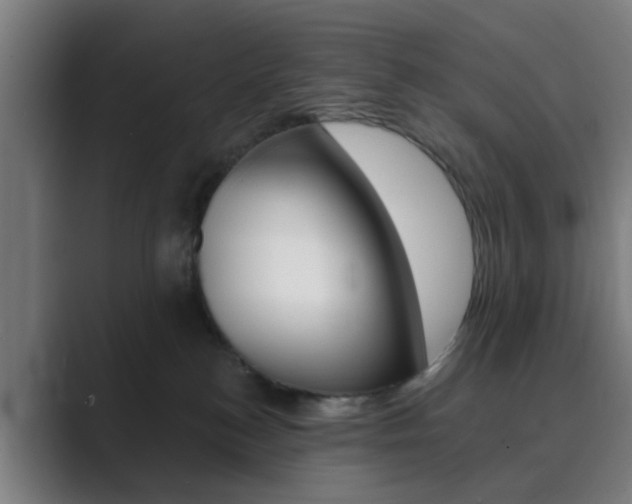X0000089940184200706290823