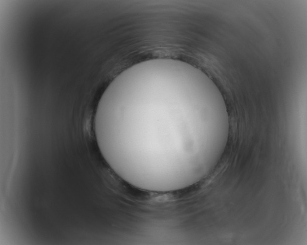 X0000089940185200706290823