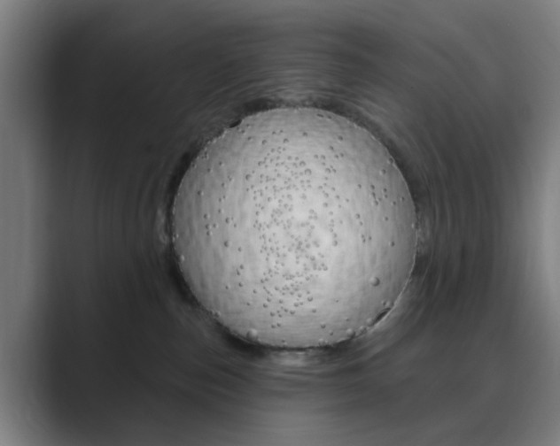 X0000089940187200706290823