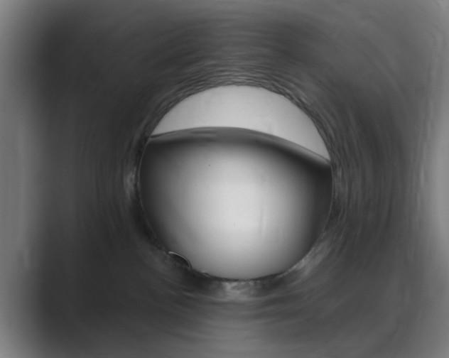 X0000089940188200706290823