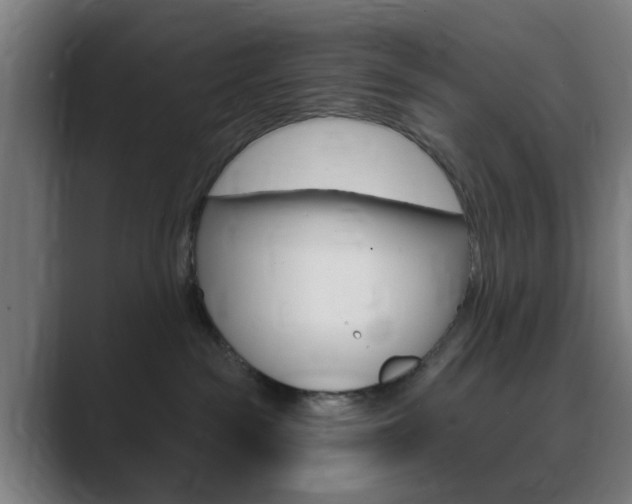 X0000089940189200706290823
