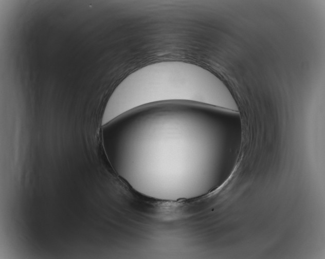 X0000089940192200706290823